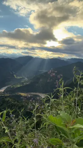 Bhale baseko Deurali Syangja 🍁  #syangja #nature #goodvibes #trend 