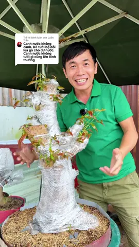 Trả lời @Luân Trần Vẫn canh như vậy mà có bộ đôi phục hồi cái nó khác liền thấy ko anh Luân ơi 🤗