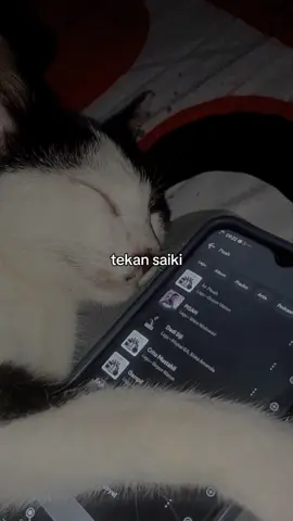 Pisah. #fyp #liriklagu #lagujawa  #beranda 