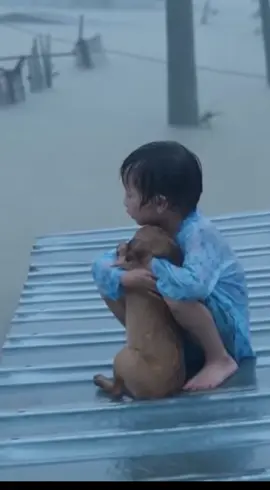 #dogsofttiktok #dog #babytiktok #babyboy 