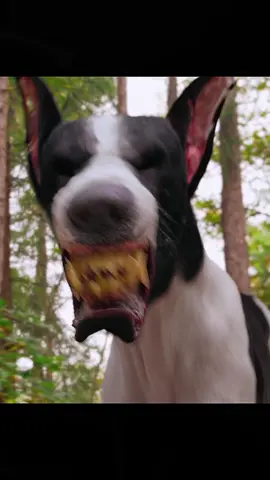 #tiktok #fyp #foryou 