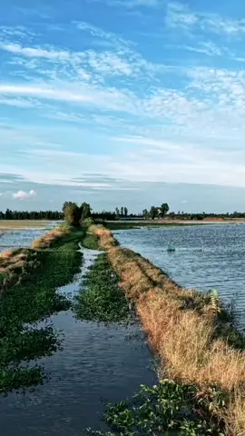 nhắn ai đi về miền đất phương Nam 