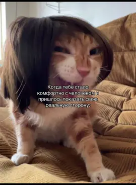 #рек #рекомендации #тренд #on #fyp 