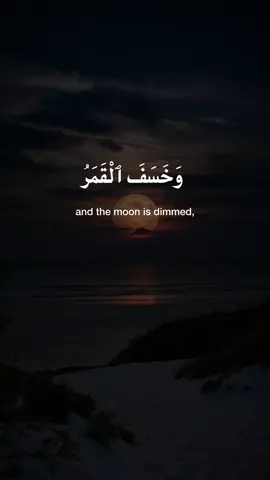 #قران #quran #salahbukhatir #fyp #foryoupage❤️❤️ 