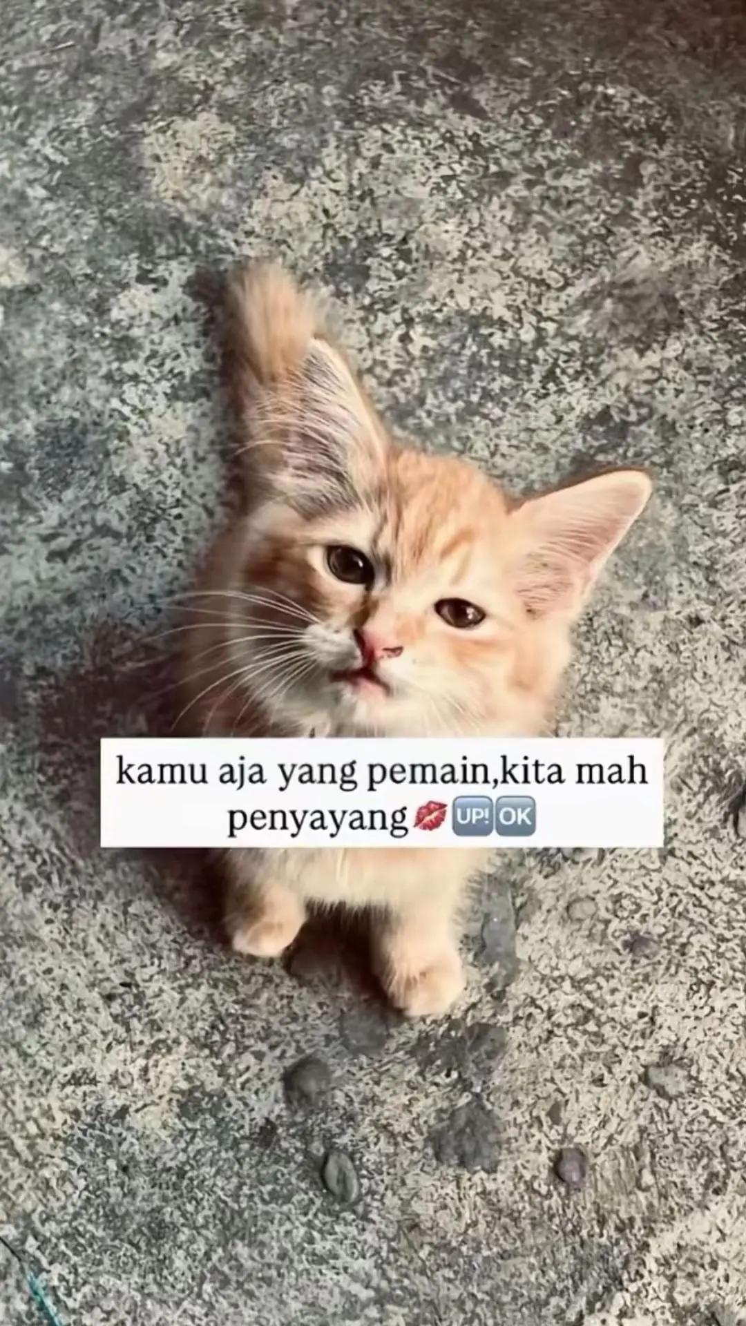 #casualstyle #casualoutfits #adidasoriginals 