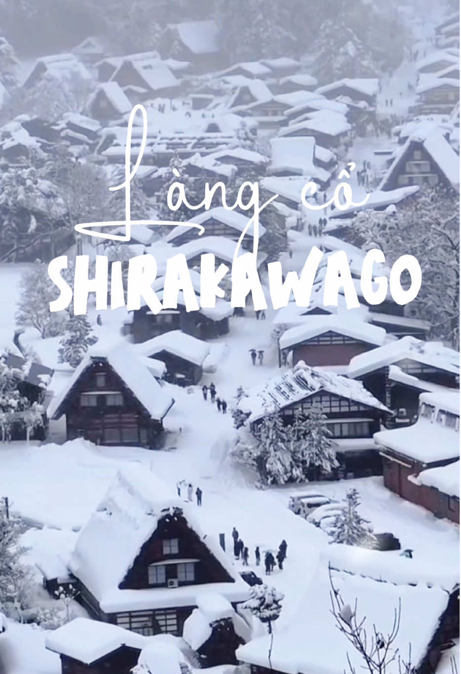 Làng cổ Gifu - Tuor ngắm tuyết dịp TẾT DƯƠNG xuất phát từ Osaka  ✅giá vé 7900 yên  ✅giá vé 7400 yên ( nếu đăng kí trước 15/11) #japanlife🇻🇳🇯🇵 #shirakawago #langcogifu #白川郷 #白川郷の景色 