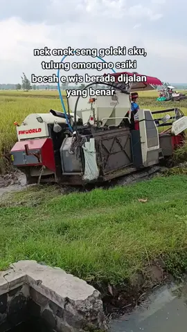 #teamngiwomadang #fyp #petanimuda 