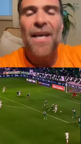 Carlos Miguel chegou pra ser titular absoluto no Palmeiras?🧤🔥😳 . . #palmeiras #sep #carlosmiguel #goleiro #futebol 