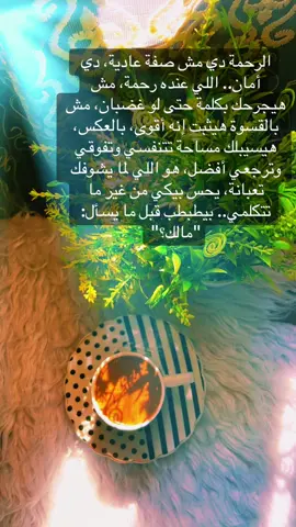 #تحيامصر🇪🇬✌️ #تصويري📷 #قهوتي☕مزاجي☕🍫🎼 #عبدالحليم_حافظ_العندليب #اكسبلورexplore 