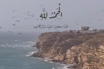 الحمدلله #باسم_الكربلائي #قصائد_حسينيه #محتوى_حسيني #اناشيد #الحمدلله_دائماً_وابداً 