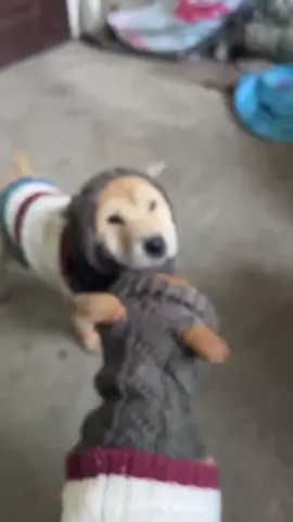 những ngày mưa nhiều...