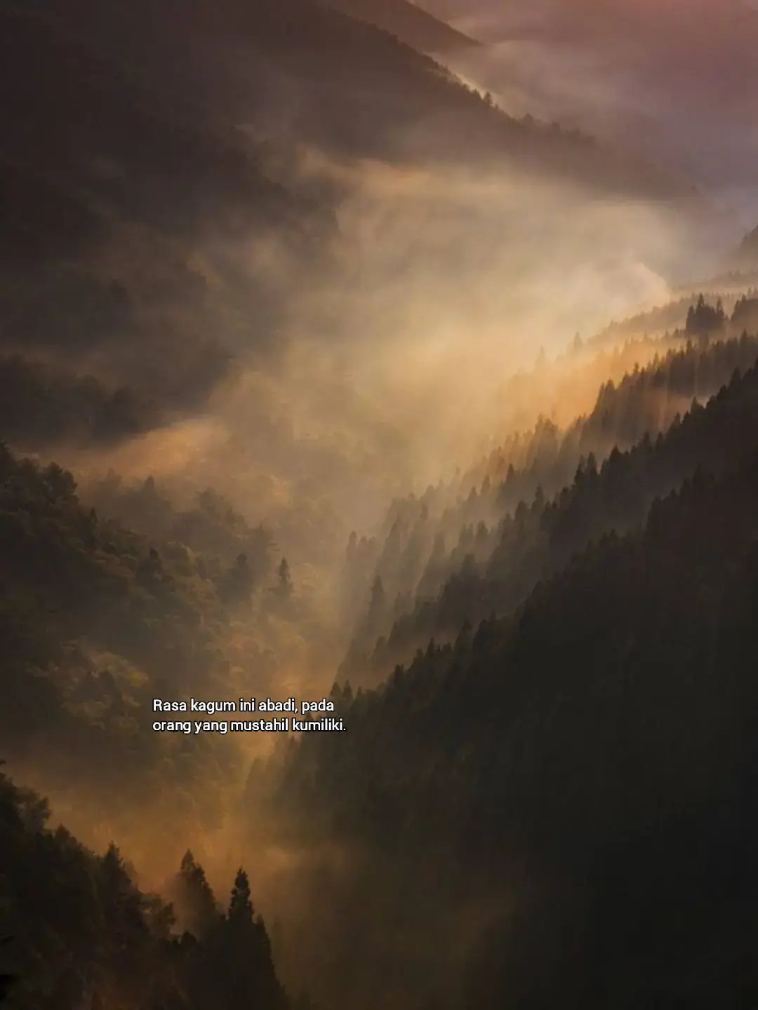 Bahan-bahan: 4 buah jagung manis (kupas kulitnya, sisakan sedikit untuk pegangan) 3 sdm margarin atau mentega 2 sdm saus tomat 2 sdm saus sambal 1 sdm kecap manis Sejumput garam Cara membuat: Campurkan margarin, saus tomat, saus sambal, kecap manis, dan garam dalam wadah. Aduk rata hingga menjadi olesan. Panaskan alat pemanggang atau bara api. Olesi jagung dengan campuran bumbu, lalu bakar sambil dibalik-balik agar matang merata. Saat jagung mulai agak kecokelatan, olesi lagi dengan bumbu agar lebih meresap dan harum. Setelah matang dan berwarna keemasan, angkat dan sajikan hangat. 🌽 Jagung bakar siap disantap — harum, gurih, dan manis pedasnya pas banget! ✨ Semoga resep ini bermanfaat! #sadstory #galaubrutal 