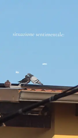 una breve ma intensa rappresentazione. #fyp #sentimental #Love #fallinlove 