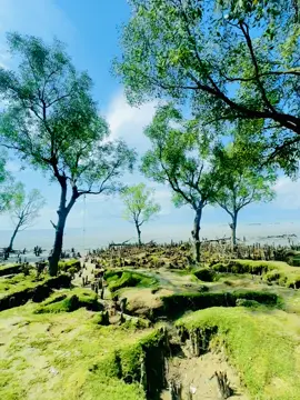 🤕❤️#foryou #foryoupage #fypシ゚ #tending #bdtiktokofficial🇧🇩 