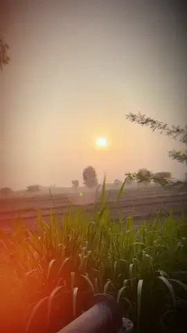 #Ma Teri ho Gai a mahiyah🥹🫰🏻🫀#foryou #foryoupage #trending song #viral video 