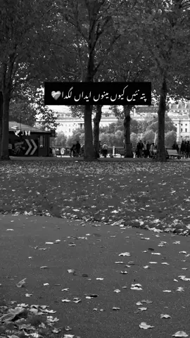 💯#fyp #views #foryou #growmyaccount #Truelines 