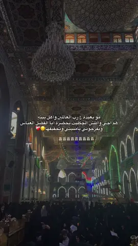 ادعولي🥹! ، ، #كربلاء #اكسبلورexplore #سادسيون 