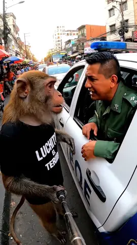 #frases #contenido #paratiiiiiiiiiiiiiiiiiiiiiiiiiiiiiii #paratii #foryou 