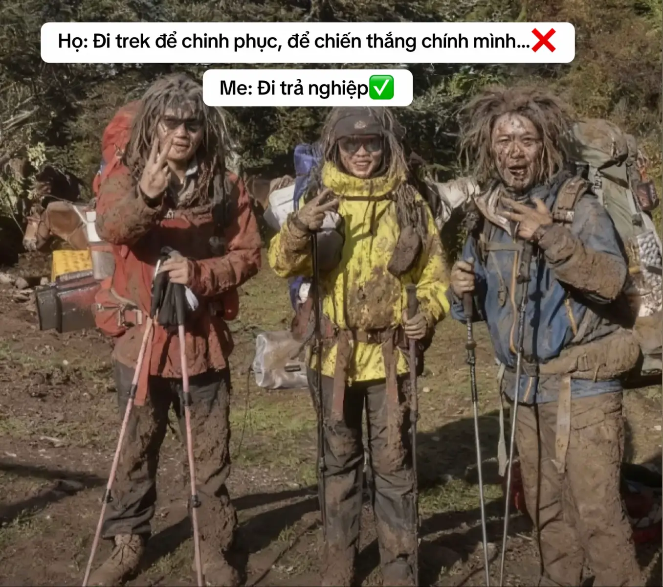 Dành dụm cả mấy chục năm mới có được cái trải nghiệm này ta nói nó đã. Hình của bạn nào đó thấy trên phở😁. #lungcung2913m #trek #leonui #vietnam 