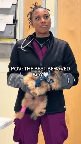 LMAOOO had to repost bc this shit kills me everytime😭😭 @Bby cooncoon😮‍💨✌🏽♊️ #fyp #dog #funny #vetmed #foryoupage 