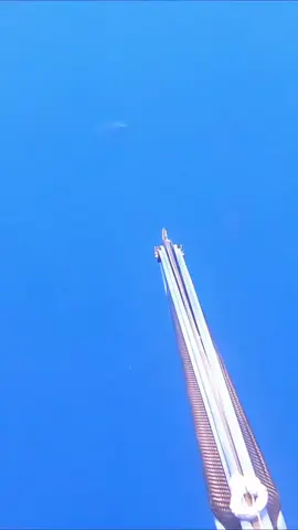 #spearfishing #diving #spear #fish #freediving 