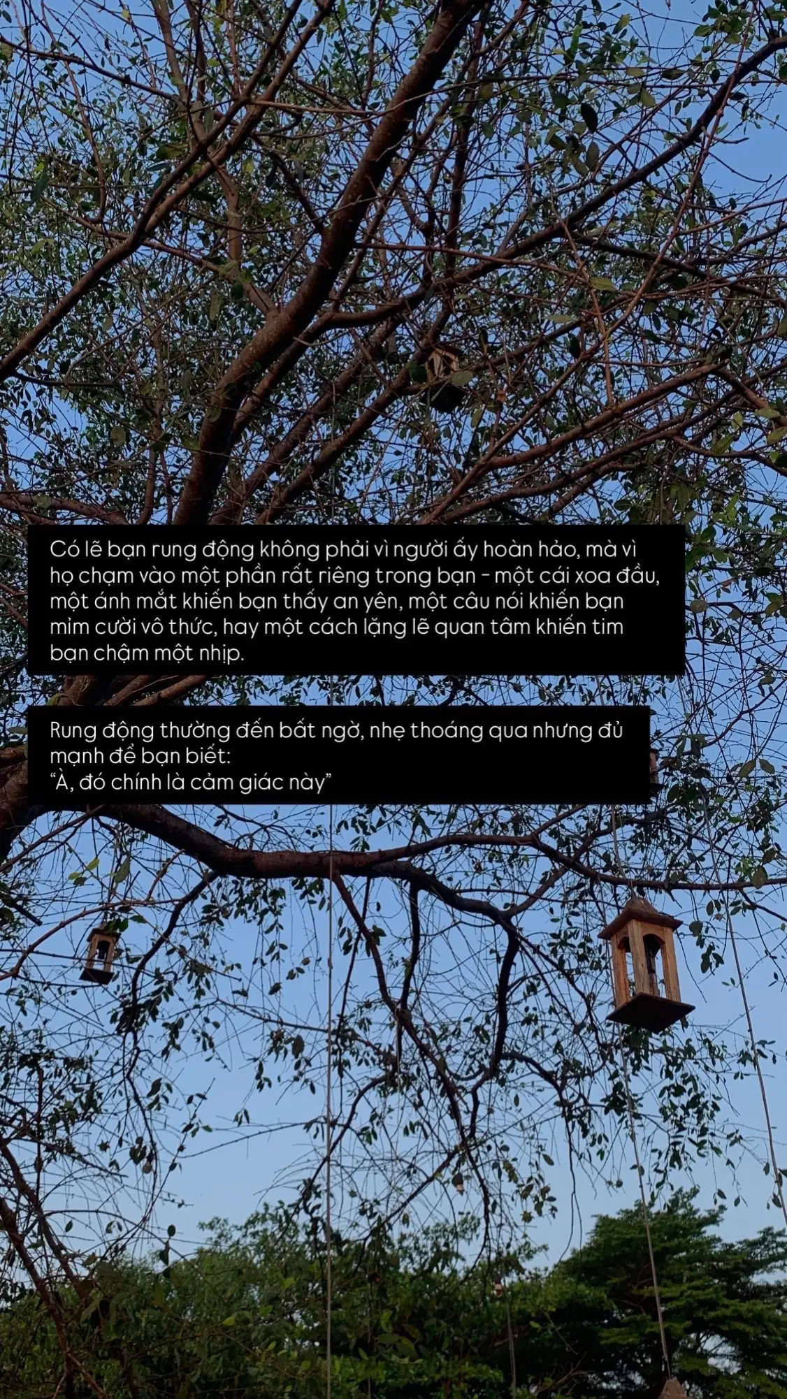 #xhhhhhhhhhhhh #viral #fyp 