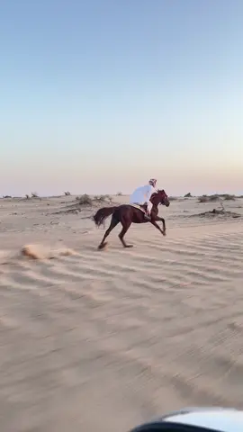 🔥👌🏻. #CapCut #اكسبلور #تصوري📸 #اكسبلورexplore #مارب_وادي_عبيده_ابراد 