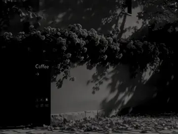 🎼Người ta nói chẳng ai hiểu về hai tiếng thương yêu…#nhachay #nhacbuon #sadmusic #chill #xh #xuhuong 