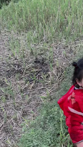 Con bảo bố ơi bông hoa 🥰😘