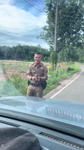 #รอดแล้วไอ้หนู ได้เจ้าของใหม่ ใจดีด้วย #ออกตรวจเจอน้องอยู่กลางถนน แถวนั้นเป็นป่าไม่มีบ้านคน สงสัยแม่ไปคลอดไว้แถวนั้น #เดี๋ยวจะมาอัพเดทชีวิตน้องเรื่อยๆ 