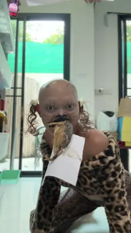 แมวขโมยยย😹🙀#คนไทยเป็นคนตลก #fyp 