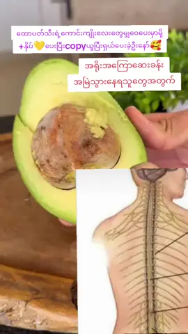 အလှပတွက်သာမကကျန်းမာရေးအတွက်ပါကောင်းကျိုးပေးသောထောပတ်သီး#avocodo #တင်းတိပ်အမဲစက်ပြောက်ချင်သူများအတွက် #TTA #fyppppppppppppppppppppppp #foryou 