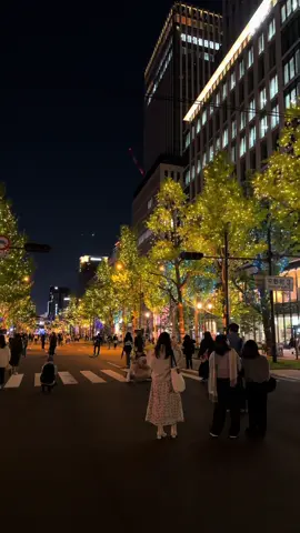 今年も開催された「大阪・光の饗宴2025開宴式」。御堂筋イルミネーションの季節がやってきた🎄 #fyp #御堂筋イルミネーション #大阪 #osaka #イルミネーション 