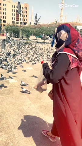 #madinah #viral #umrah #foru #tiktok 