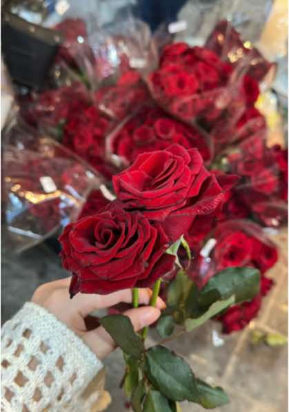 #سوريا#عشوائيات #السعوديه#دمشق