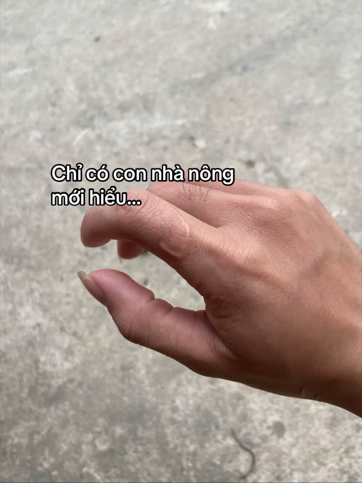 #hoacthng #xuhuongtiktok 