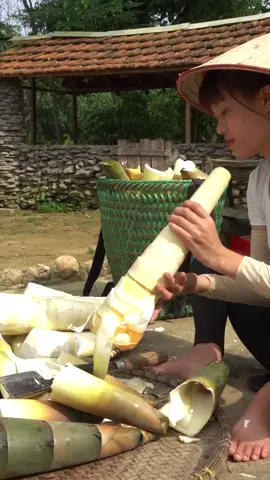 Harvesting bamboo shoots and pickle chili and garlic go to the market to sell - Harvest daily life