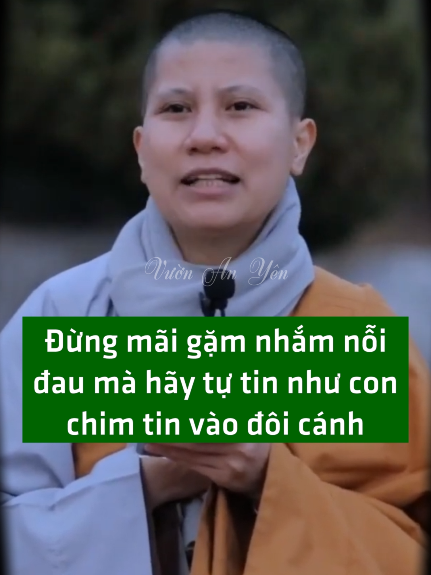 Đừng mãi gặm nhắm nỗi đau mà hãy tự tin như con chim tin vào đôi cánh #phatphapungdung #vandapphatphap #scgiaclehieu #VuonAnYen #nghephapmoingay