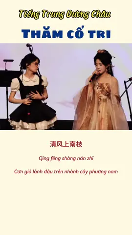 《探故知 》 #tiengtrungduongchau #nhachoaduongchau #nhactrungquoc #fyp #xuhuong 