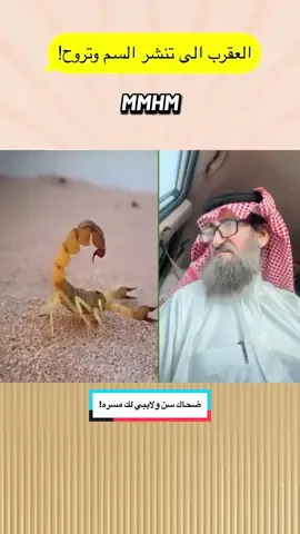 #ضحاك_سن_ولايبي_لك_مضره #اكسبلور 