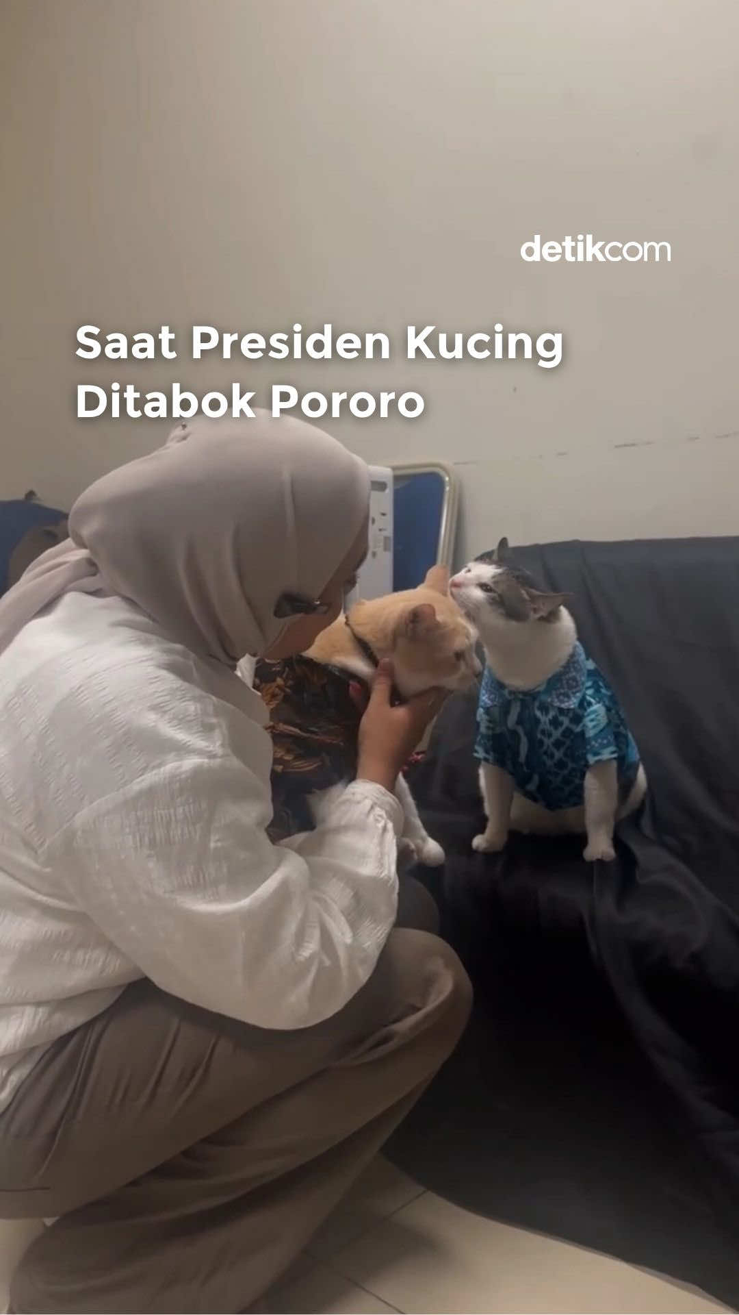 Dua kucing populer, Pororo dan Bobby Kertanegara, akhirnya bertemu di Indonesia International Pet Expo (IIPE) 2025. Dalam video yang diunggah akun Instagram cicichaniaa,(1/11/2025), Bobby tampak lebih dulu menyapa Pororo. Namun, Pororo justru bereaksi spontan dan menabok Bobby. Momen tersebut  langsung mencuri perhatian warganet. Baca berita selengkapnya hanya di detik.com!  Creator: Dio  #detikcom #mediasosial ##Pororo #BobbyKertanegara #IIPE2025