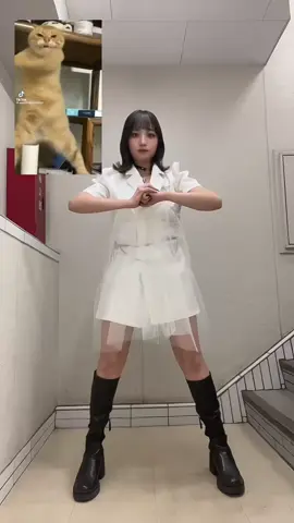 時間なくてテキトーにやって、大間違いしてるから 今度撮り直す！ #フォロワー3000人目指してます🙋‍♀️  #俳優  #ポコチャライバー  #元アイドル  #毎日投稿 