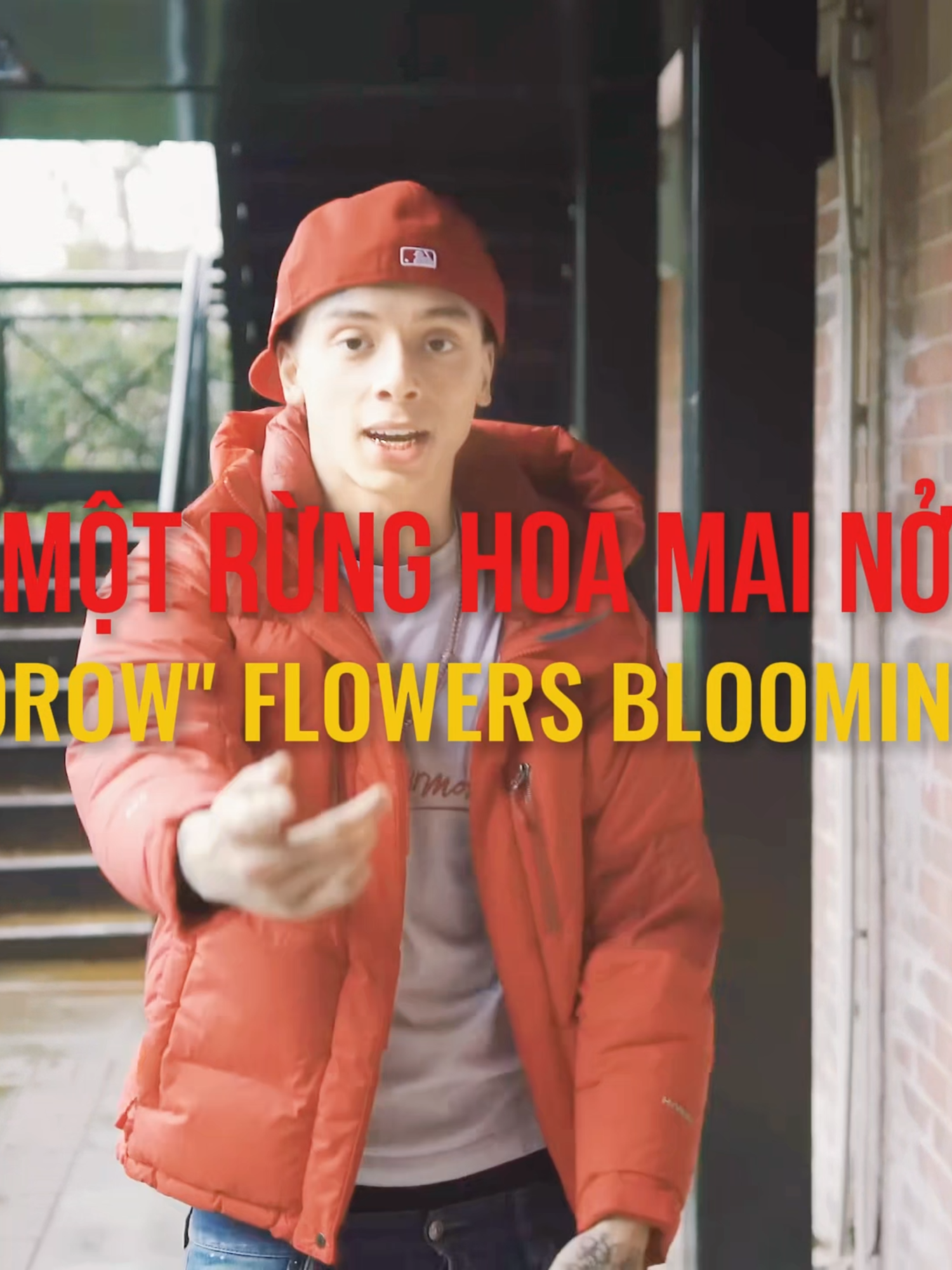 nghe là muốn dọn nhà