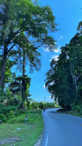 Vibes cagar alam tampo #fyp #lewatberanda #hutanlindung #alam 