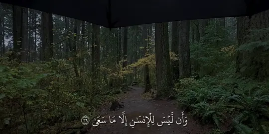 النجم الاية ٣٩ - ٤١ |#ياسر_الدوسري #quran_alkarim #quran #قران_كريم #قران 