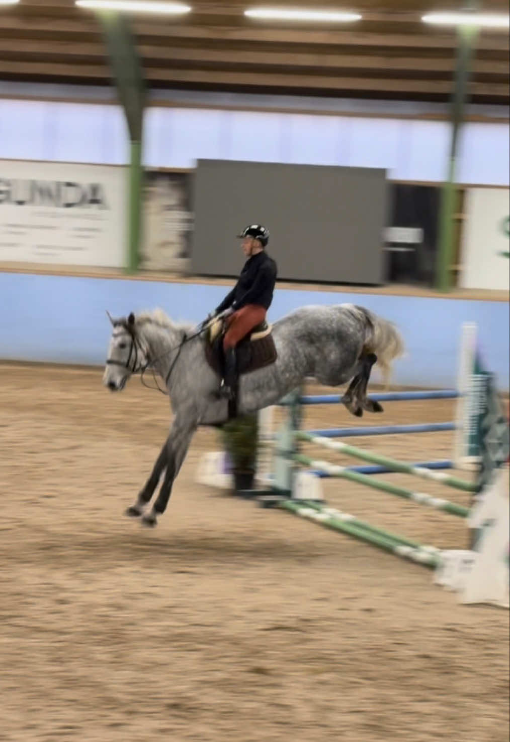 Följ vår resa mot 1m30🤩 #showjumping #horses #hästar #hoppning #equestrian