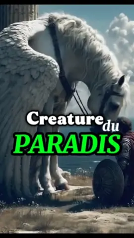 Les 2 animaux qui iront au Paradis...   #islamfrance #rappelislam #musulmansfrance #histoiredislam #subhanallah