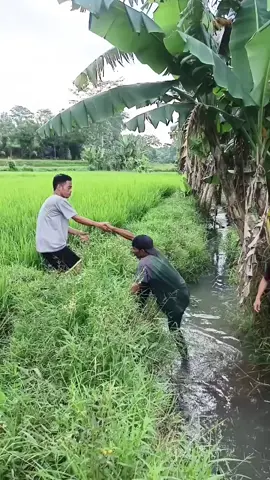 terlalu kuat narik #hiburan #comedy #videoviral 