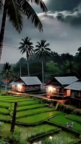 صل الله عليه وسلم تسليما طيبا مباركا وعلى آله وصحبه اجمعين 🌹🤍💙🦅💖❤️