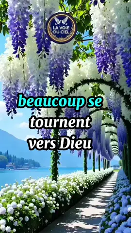 Beaucoup se tournent vers Dieu seulement dans la souffrance#viralvideos #motivation #conseil 